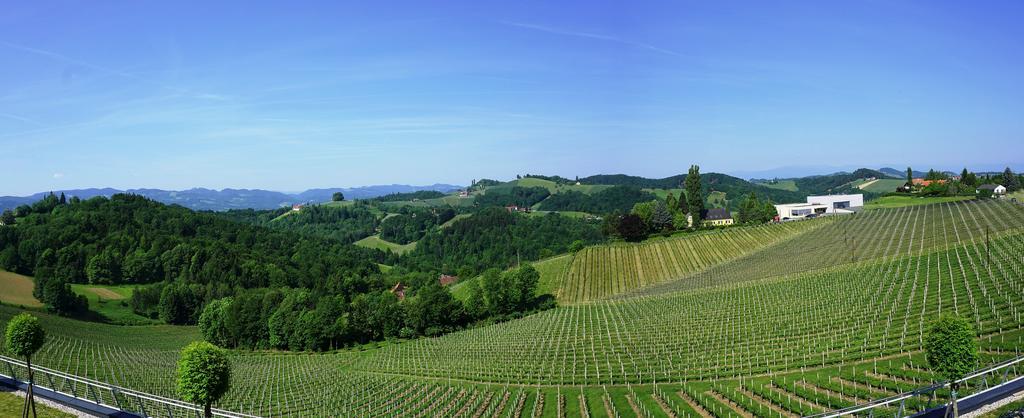Weinrefugium Brolli Hotel Gamlitz Exterior photo